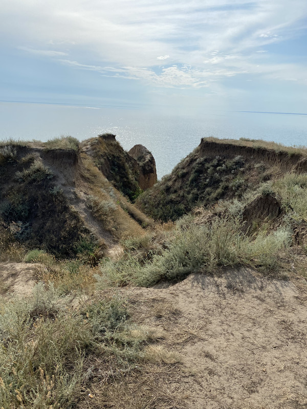 F56BE1E1-7B62-450B-BE37-E1C8FCF58F13