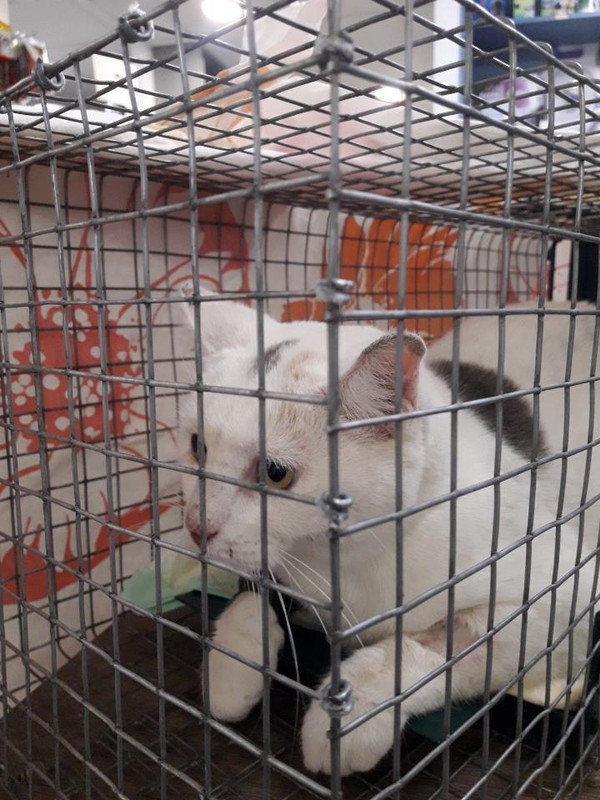 IMG-e7c8191e60e0f29f11ce0ae274652e03-V