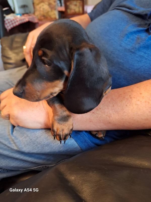 [Image: IMG-20240923-161332.jpg]