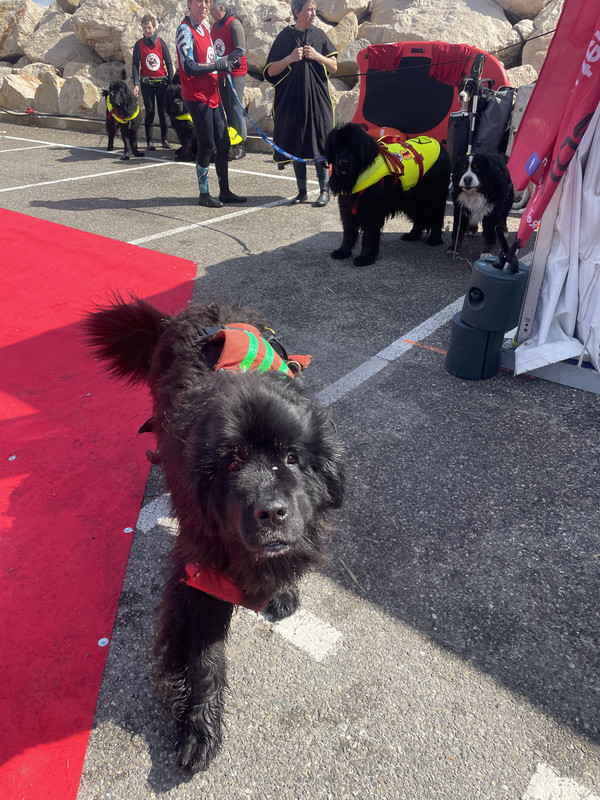 3A30430D-6F9B-469D-85E7-7D2B3B35B417