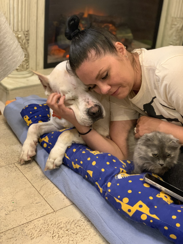 00AB3441-EFAC-4868-A3B1-D3D78A4622ED