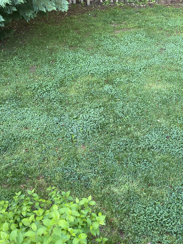 F11D82C3-9CCE-48C0-9E77-AF89CB124AD5