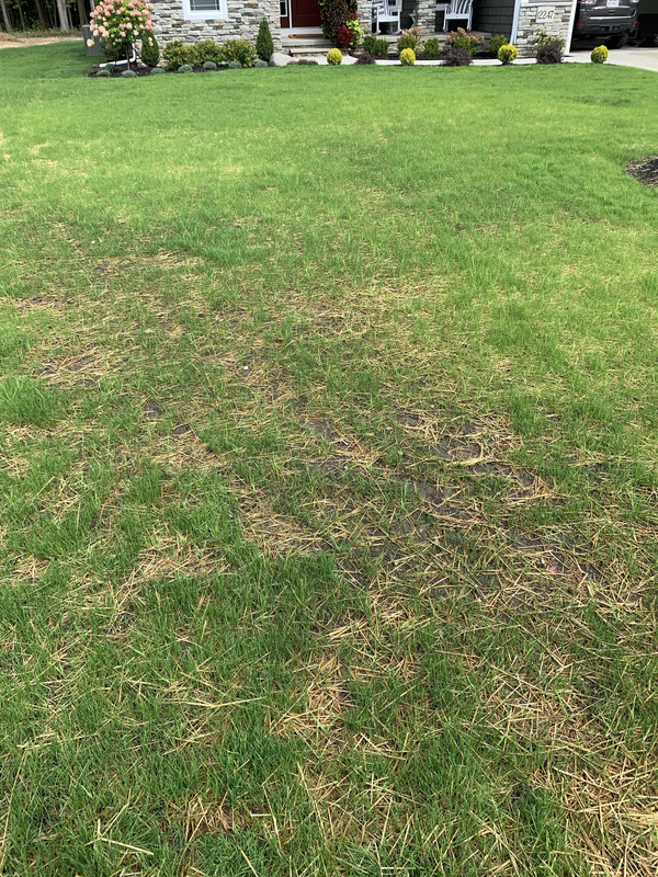 WVgcS1DQR4CYJmQBFOqQ9w