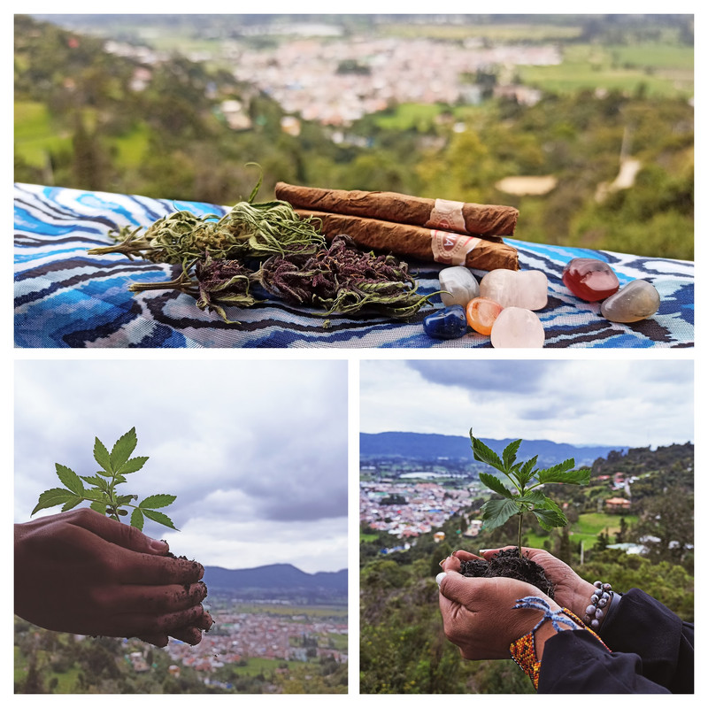 IMG_20220415_121902-COLLAGE