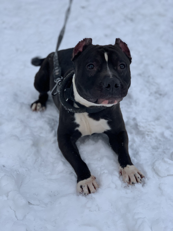 5FE05CC5-CF18-4135-82C3-68AA8CD246CA