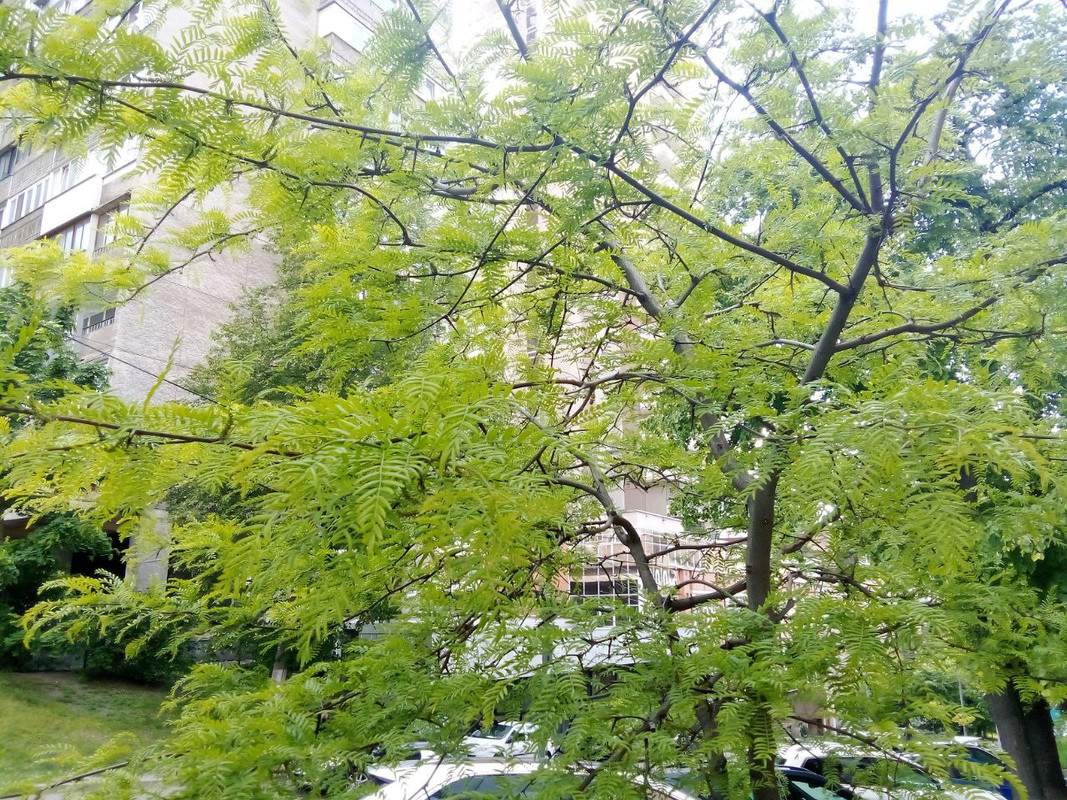 photo_2025-05-17 10.03.25 дп