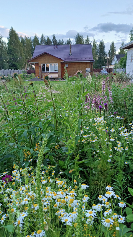 IMG20230714210928 — копия
