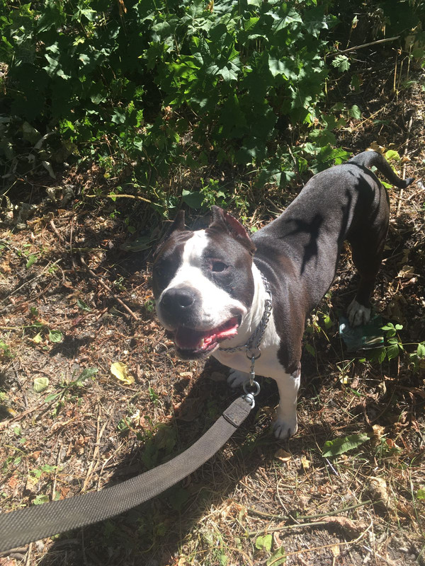 B169BFC2-66A6-43E0-96BD-904EB4AC5316