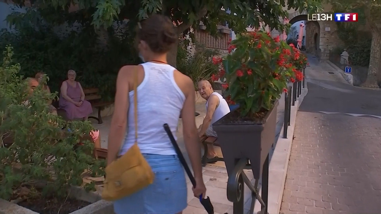2020-08-26_13_00_TF1_Le-13h.mp4_snapshot_35.48.050