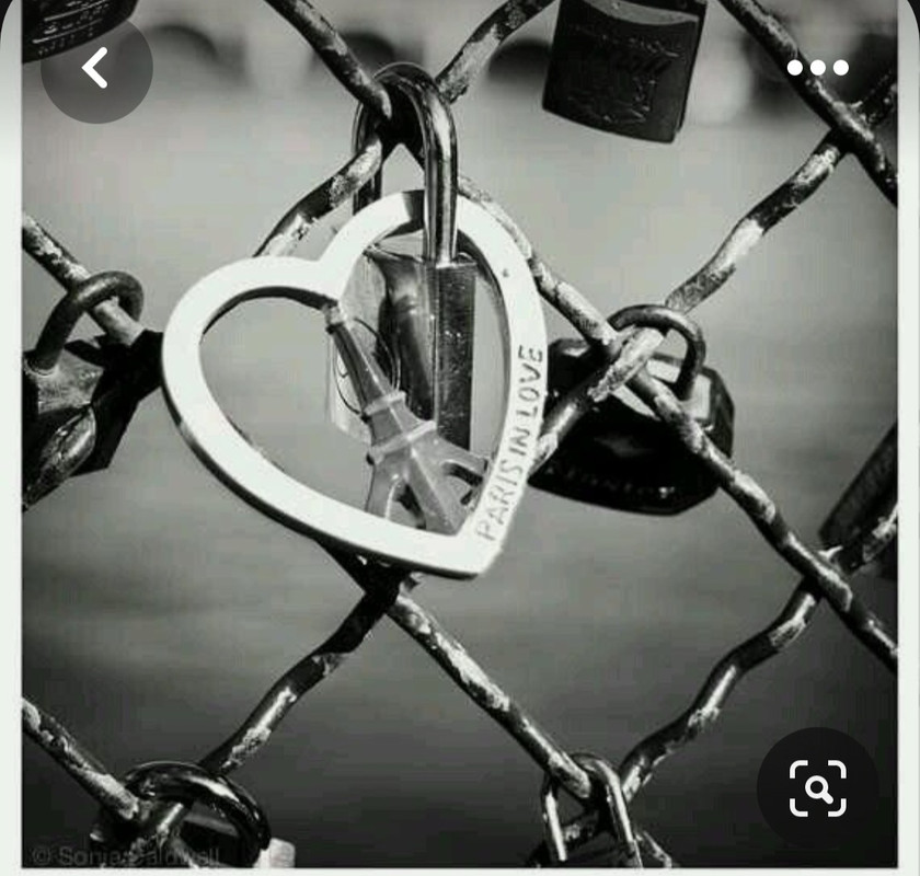 Screenshot_20230412_191046_Pinterest