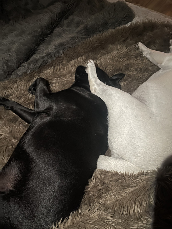 E8F15D9D-94D2-4A2F-9E1D-7A14D759FD27