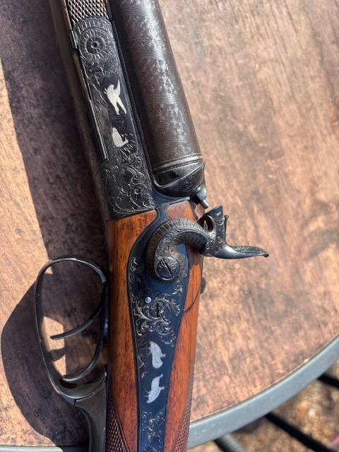 [Linked Image from i.postimg.cc]