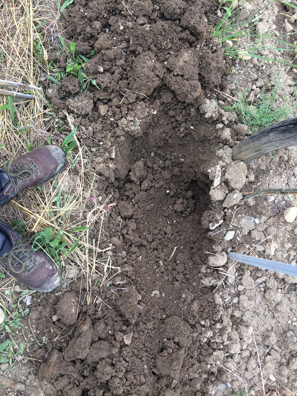 6C6C1AE7-A2A9-41B6-803E-CE1D20C9205B