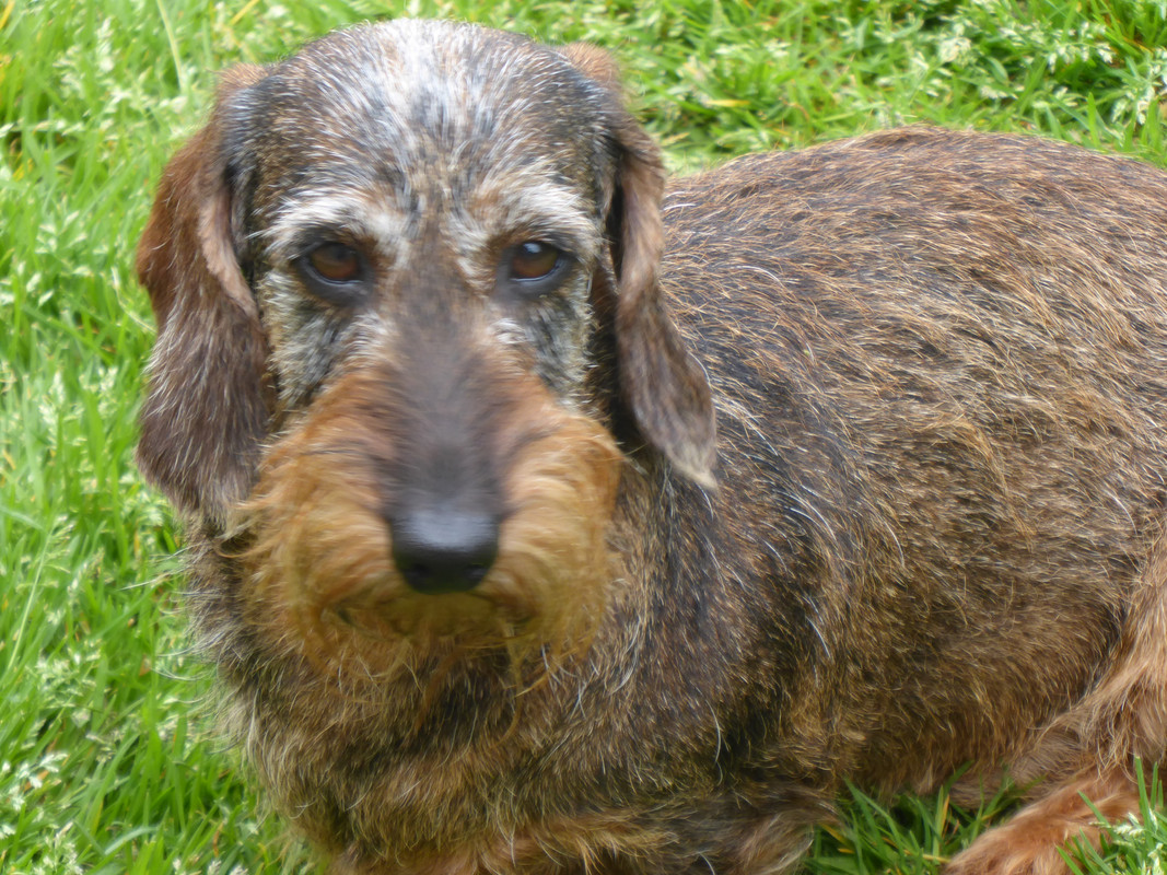 [Image: P1020628.jpg]