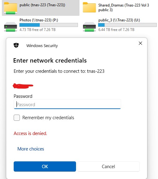 public folder no access