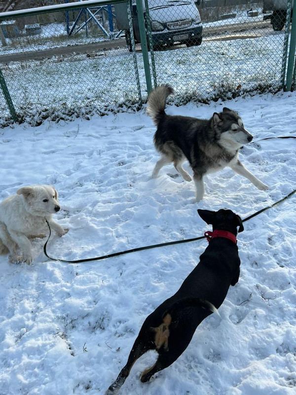 EDD2CC0C-0AB3-4A8D-B08D-C4DD33D6C6DA