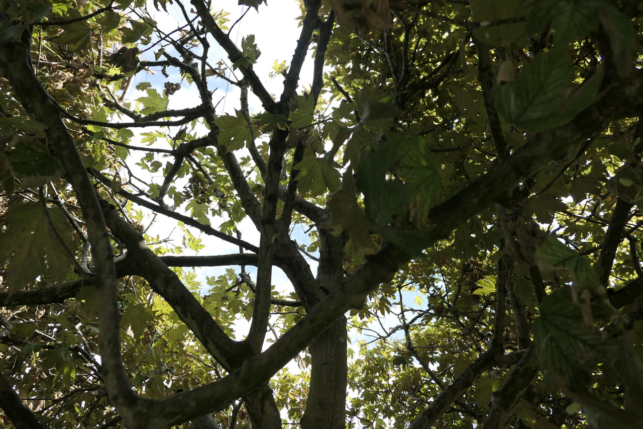 P1050023