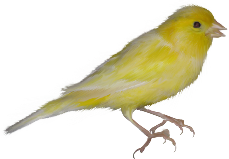0_1c0e23_8a9c88c0_orig