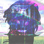 satwk cover