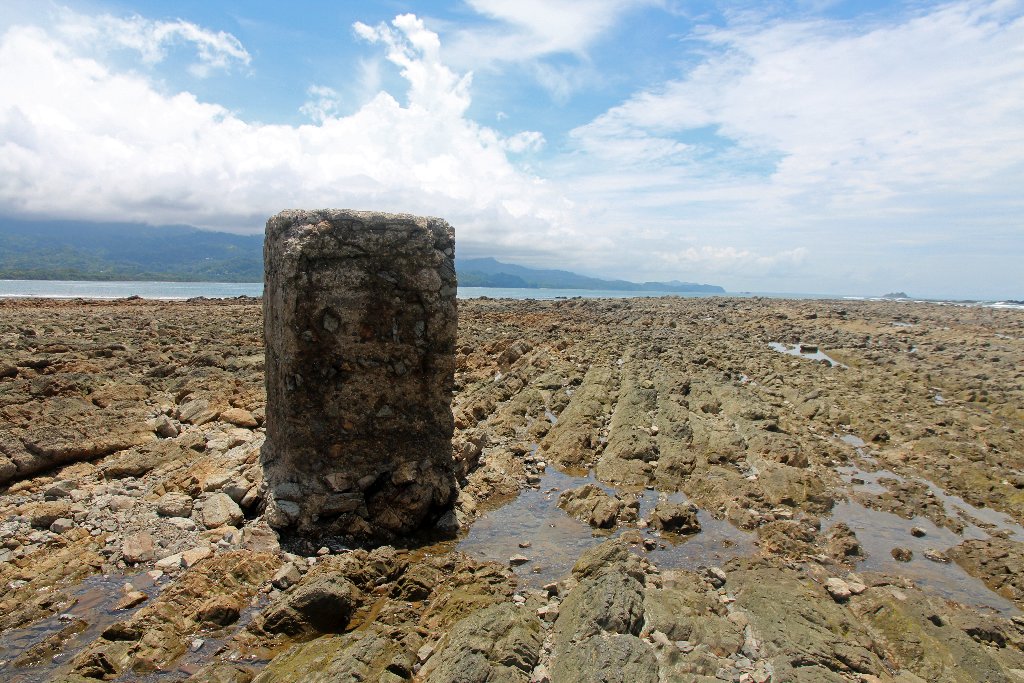 DIA 15: PARQUE MARINO BALLENA Y CONCLUSIONES - DE TORTUGAS Y PEREZOSOS. COSTA RICA 2019 (10)