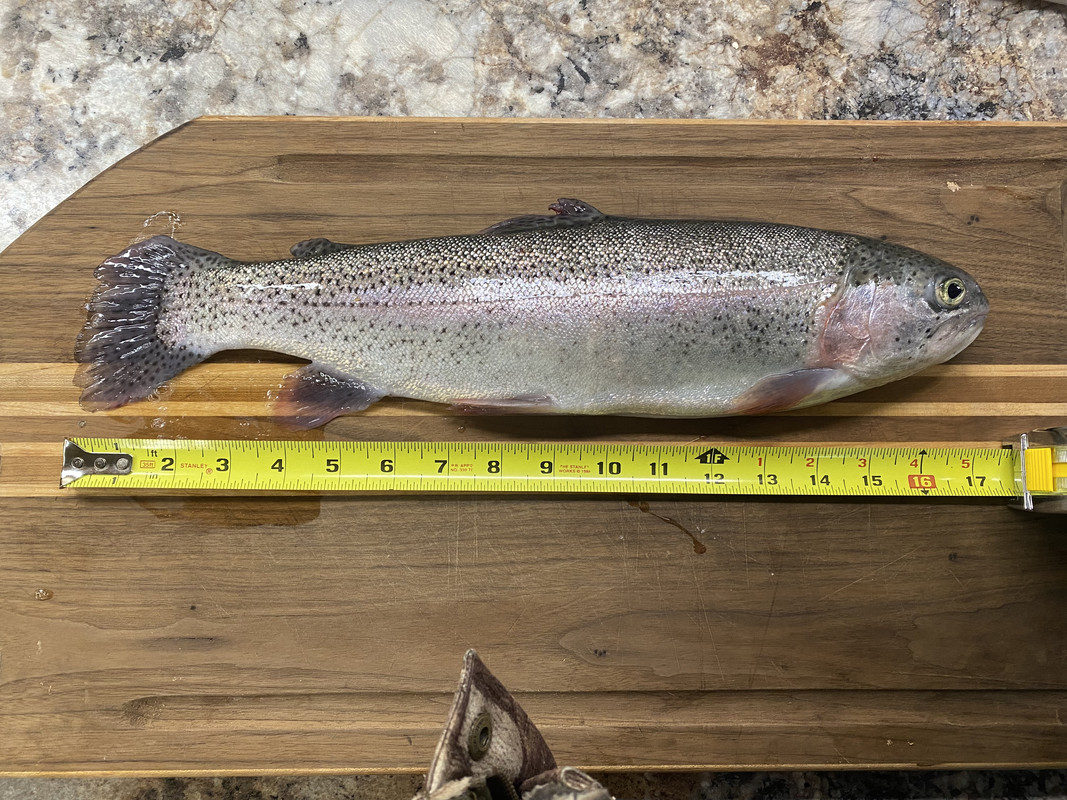 C07CB89C-0125-4CE3-A2B0-EE44B593000B