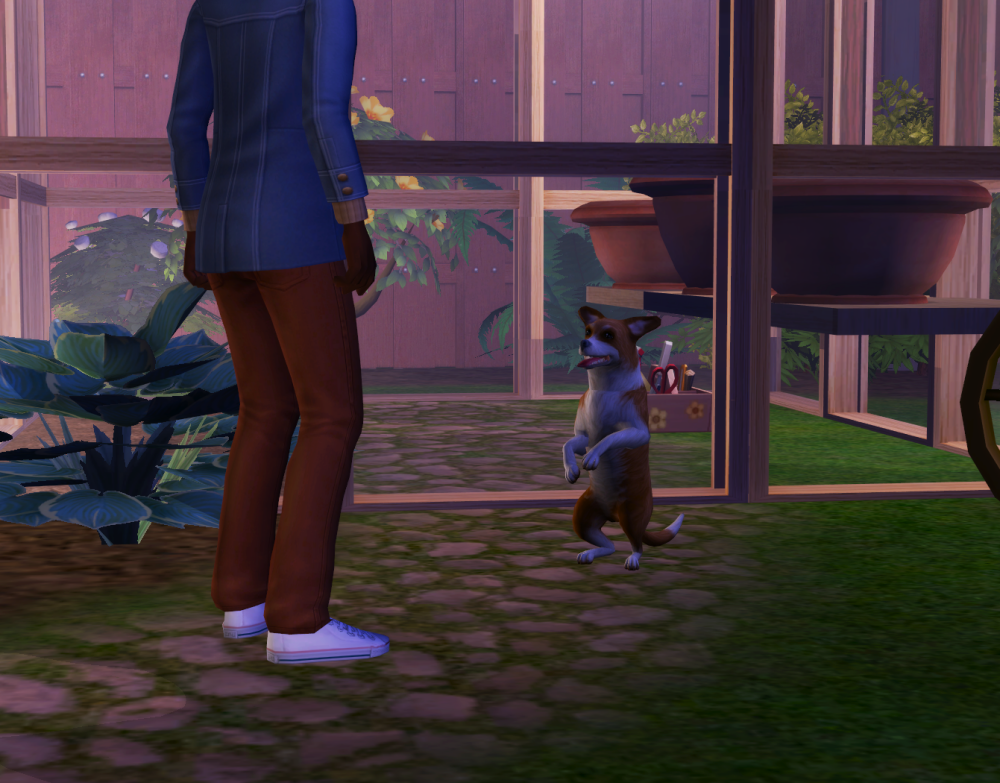 Sims2-EP9-RPC-2022-07-23-22-56-52-33