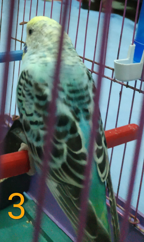 IMG_٢?١٨١??٦_١?٢?١٧