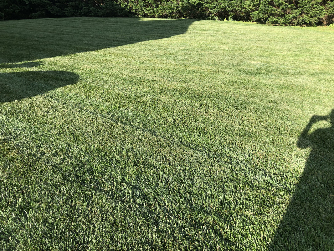 2A7C1CA8-EF11-4866-AD24-EEE8A235D917