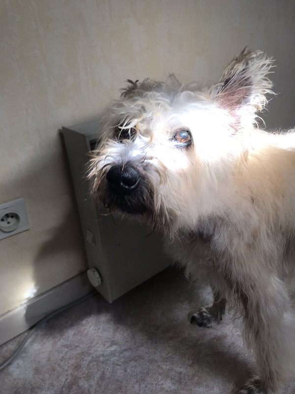 2B90E392-F05F-48FF-A871-0942758FE062