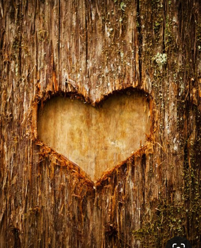 Screenshot_20240214_174450_Pinterest