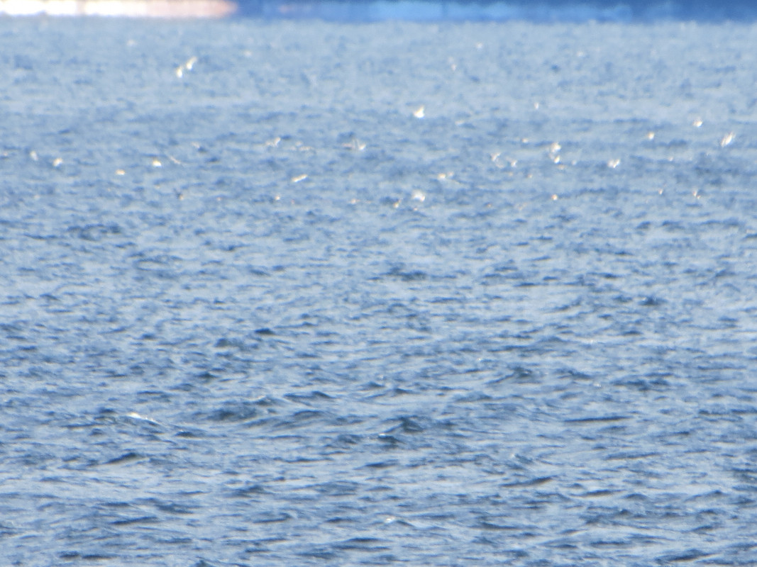 IMG 3241[1] — Postimages