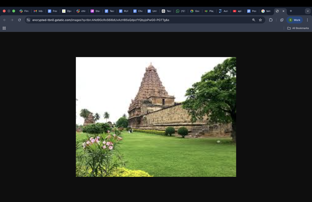 Screenshot 2026 02 11 at 12 12 07 PM