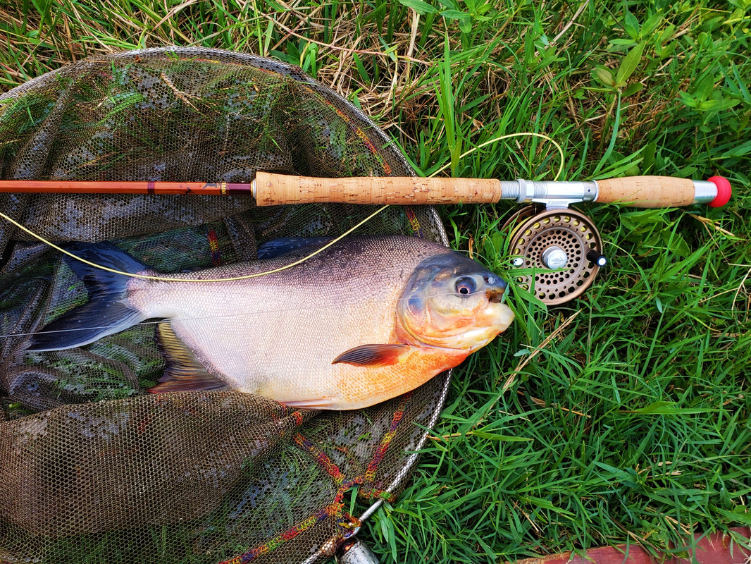 20221008_173441_mh1665242769355