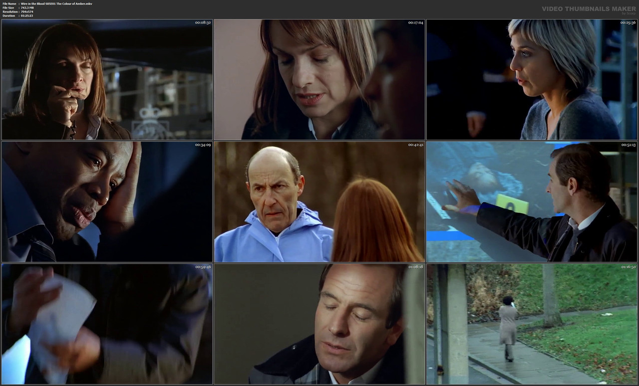 Wire in the Blood S05E01 The Colour of Amber.mkv
