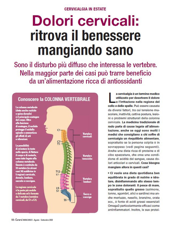 Cur Mang Ago-Set 2023 (9)