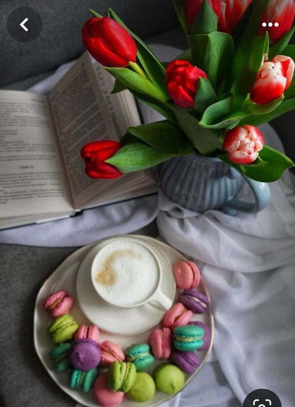 Screenshot_20240425_232421_Pinterest