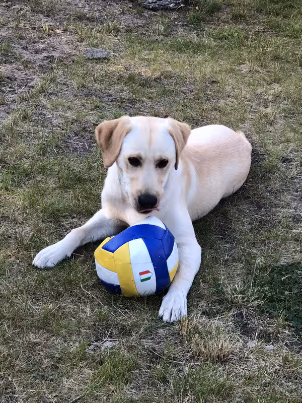 B8BFB316-EC57-4845-ADC4-537BEB0B5125