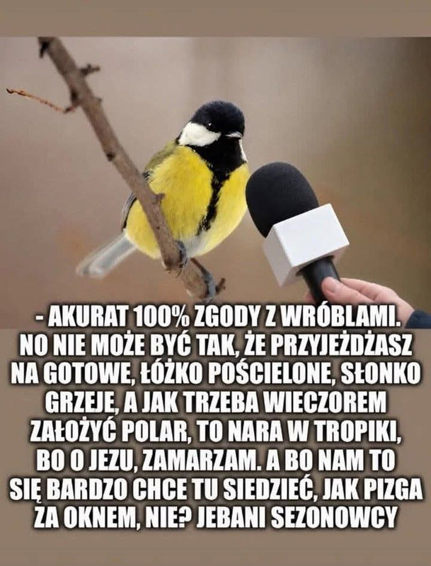 Obrazek