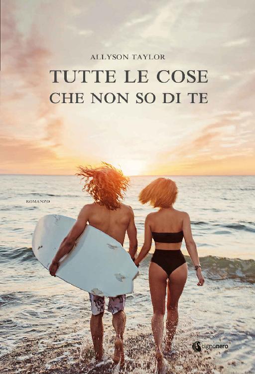 Allyson Taylor – Tutte le cose che non so di te (2020)