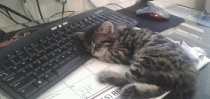 cd5d7e04e0a1e63a33c3b6664d99cd2b