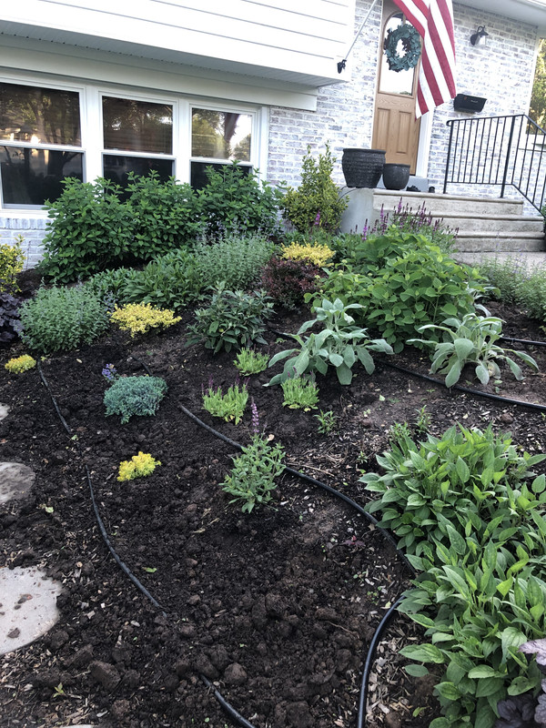 DD1F2704-483D-42EC-93E8-290276E69062