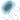 291