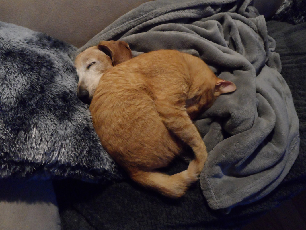 [Image: SAM-1478.jpg]