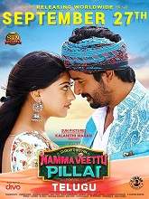 Manasunnodu (2020) HDRip Telugu Movie Watch Online Free