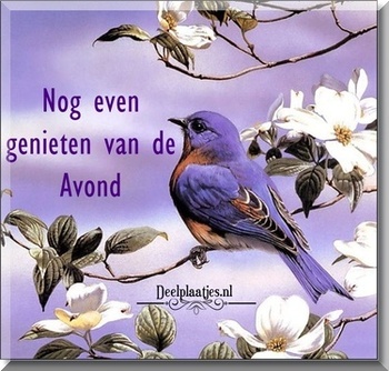 41.jpg”border=