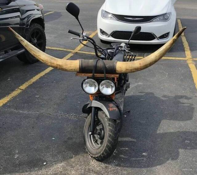 picdump-kw36-2024-065.jpg