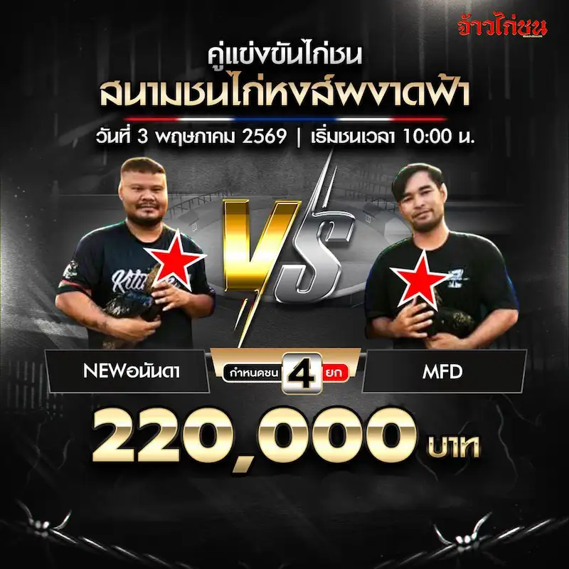โปรแกรมไก่ชน สนามชนไก่หงส์ผงาดฟ้า วันที่ 3 พฤษภาคม 2569 NEWอนันดา พบ MFD