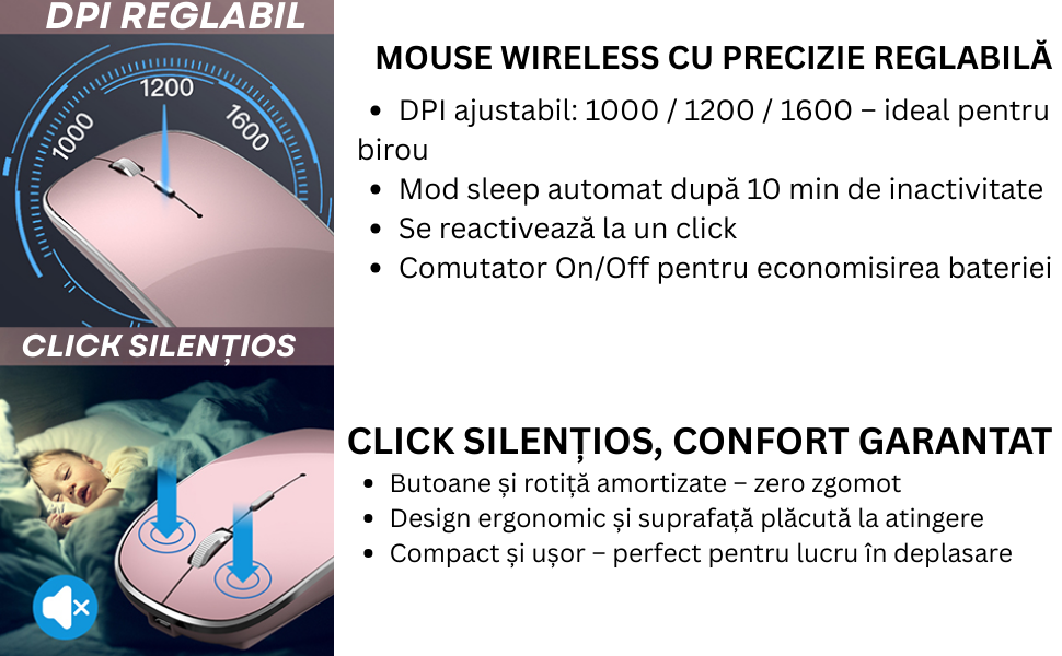 Mouse NETSTAT Prezentare 4
