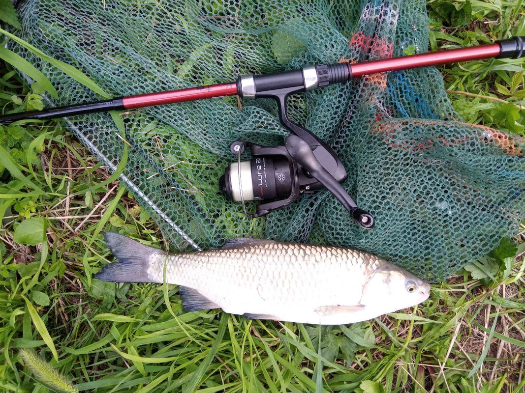 photo_2021-08-03_23-08-04