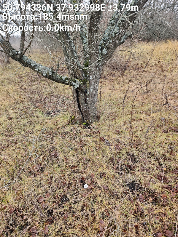 Time Photo 20251115 124724